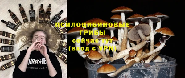 марихуана Абаза